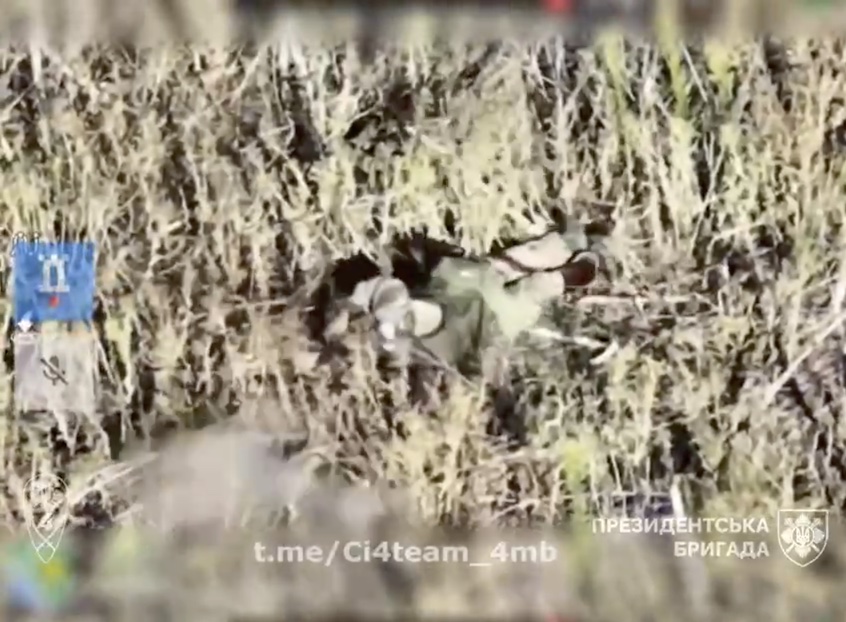 Russian under attack by drone dropped grenades, first shoots back, then appears to shoot himself