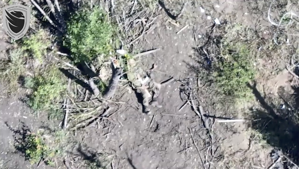 Something explodes near Russian hiding under the tree. He shoots himself soon after