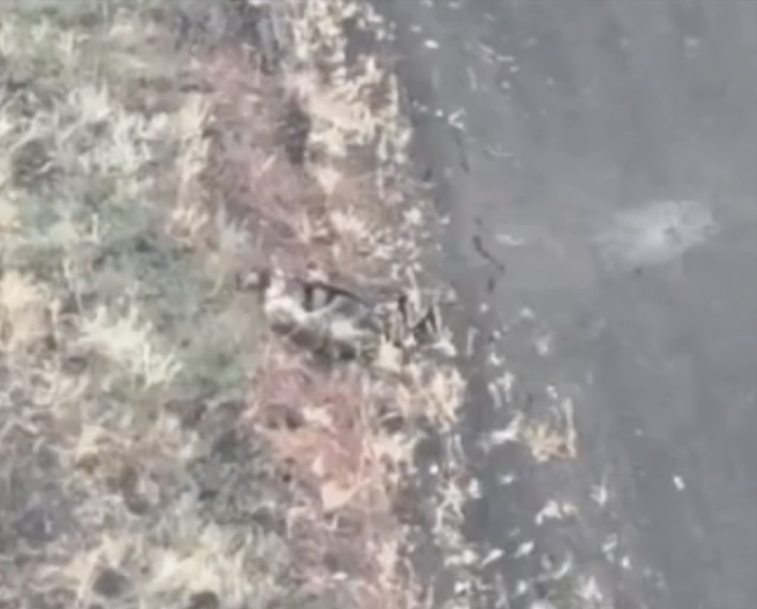 Unarmoured Russian soldier in the open field shoots himself with AK