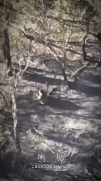 Russian shoots himself after failing to dodge FPV in the trees