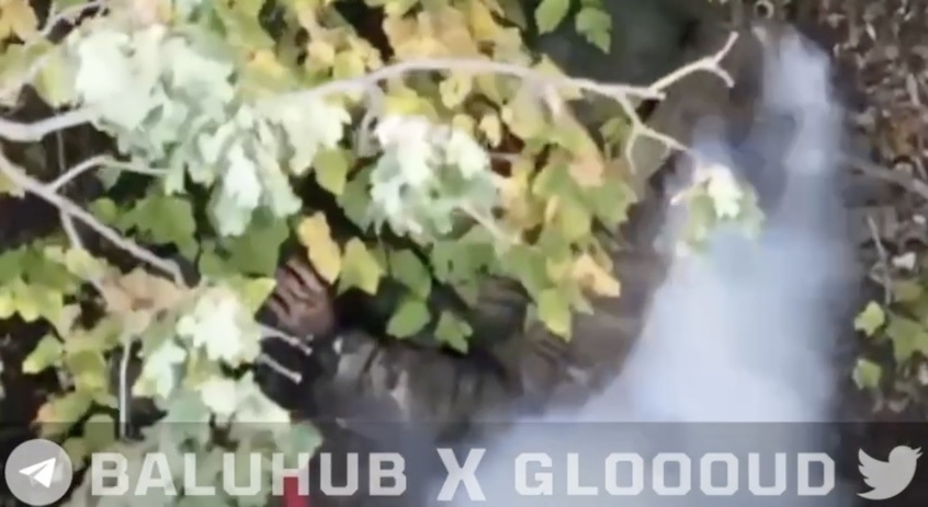 Russian under heavy foliage appears to shoot himself after being hit by drone drop