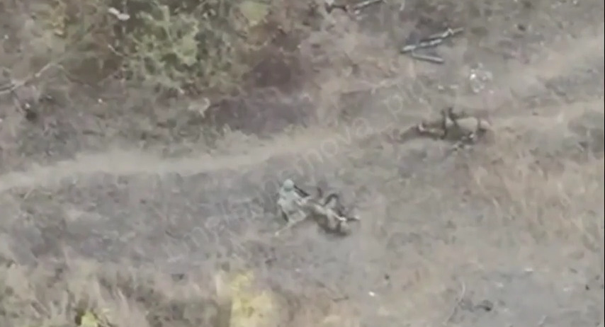 Russian shoots his wounded fellow who may have asked him to do so, starts looting immediately