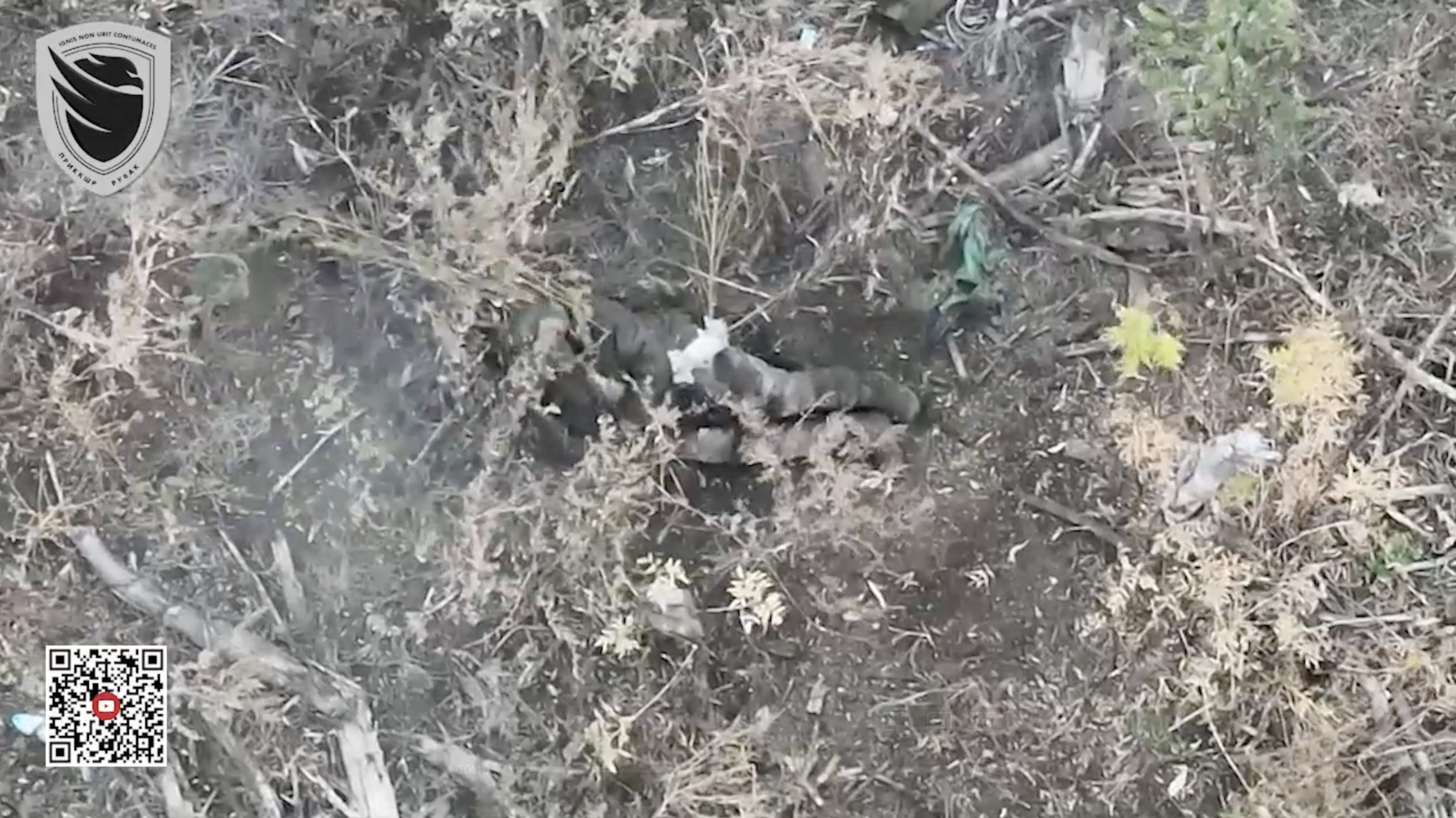 Russian shoots himself lying in the bushes immediately after drone attack