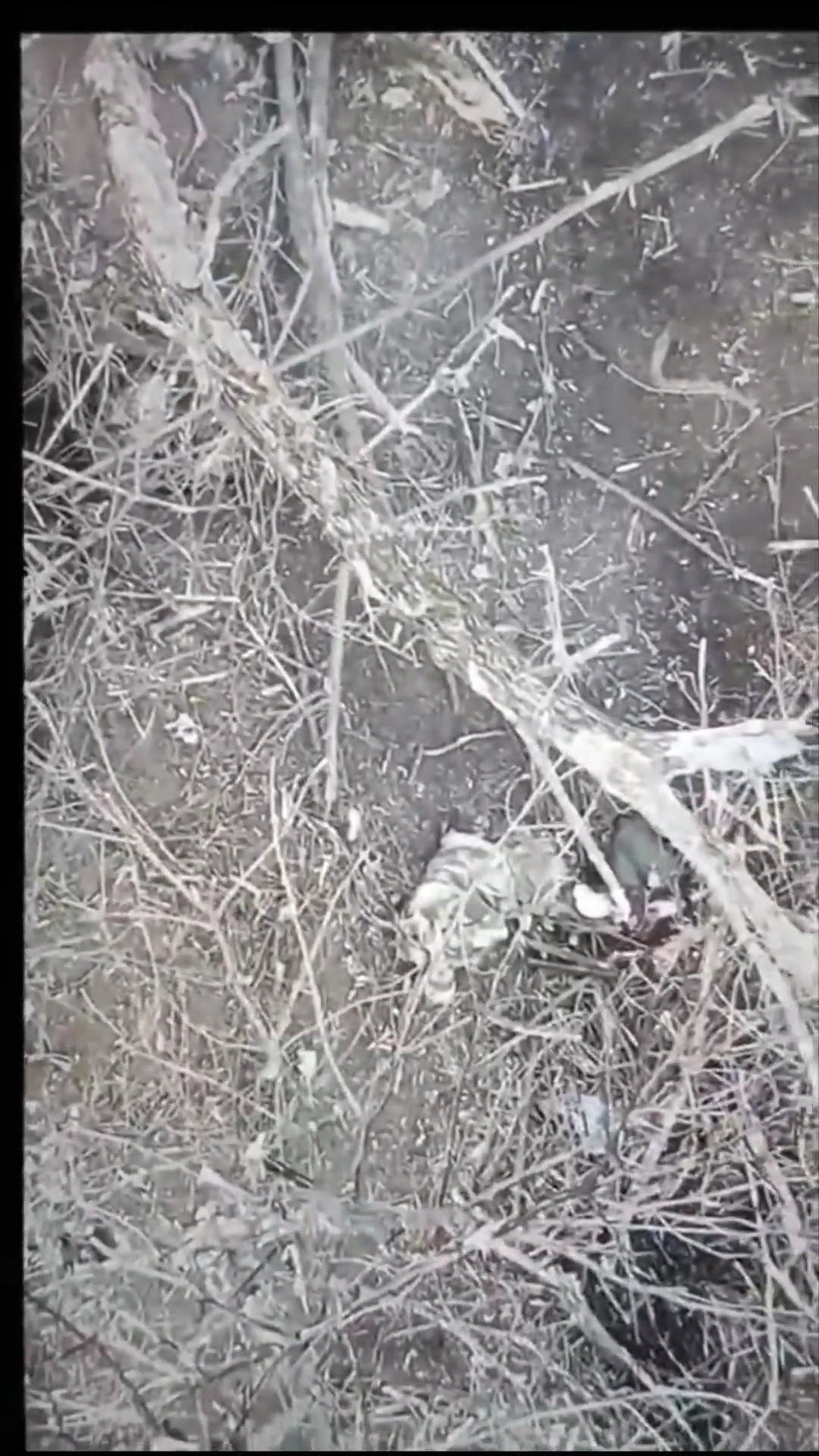 Russian soldier is hit with 2 grenades and eventually commits suicide after his comrade leaves