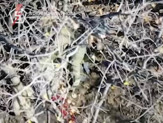 Russian soldier pulls the trigger on his AK under the trees