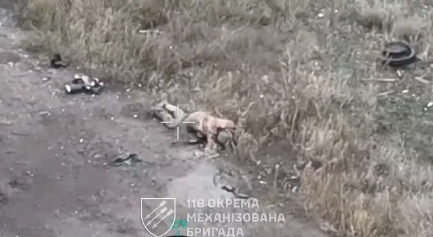 Russian casually walks along the road, barely dodges FPV and falls wounded. Proceeds with detonating his grenade without any hesitation