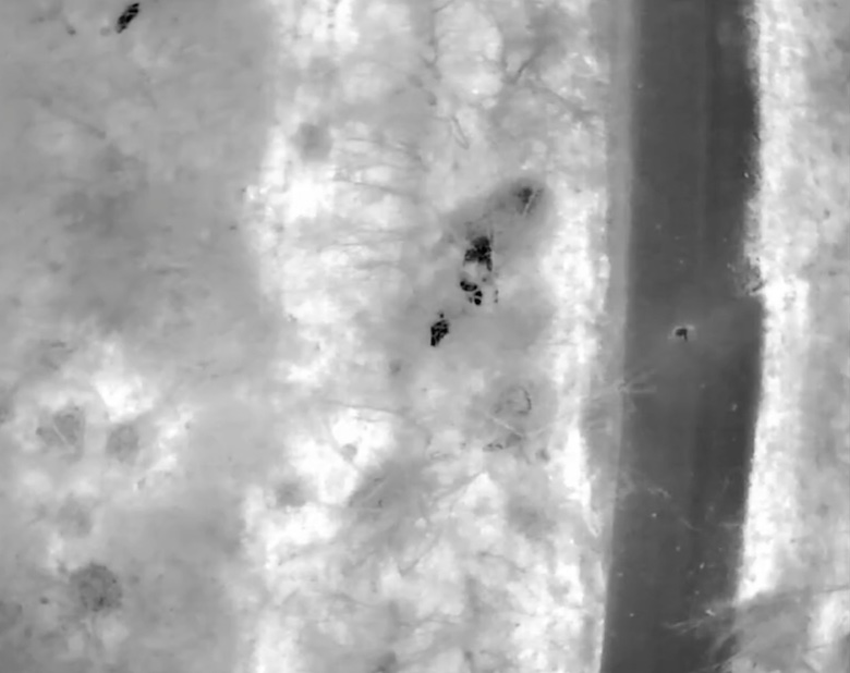 Russian lying on the ground is being targeted by drone drop, it misses quite a bit. He appears to roll over onto some explosive, which detonates. Thermal view