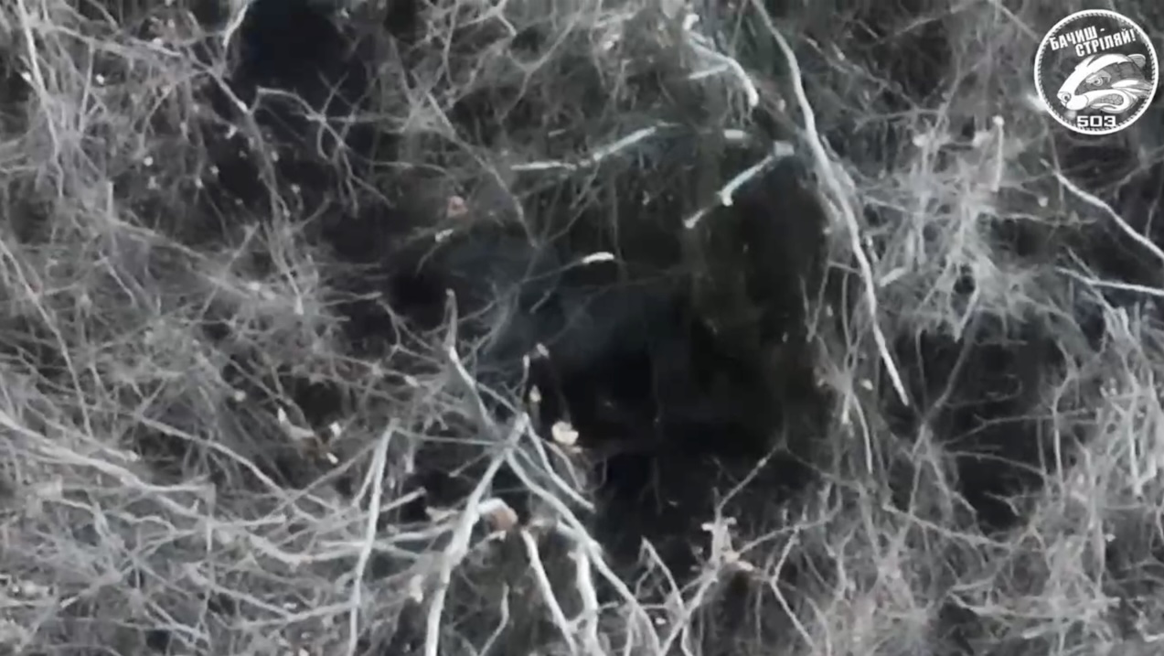 Russian is seen through tree branches lying on his side, pulling the pin on his grenade and detonating it to his chest