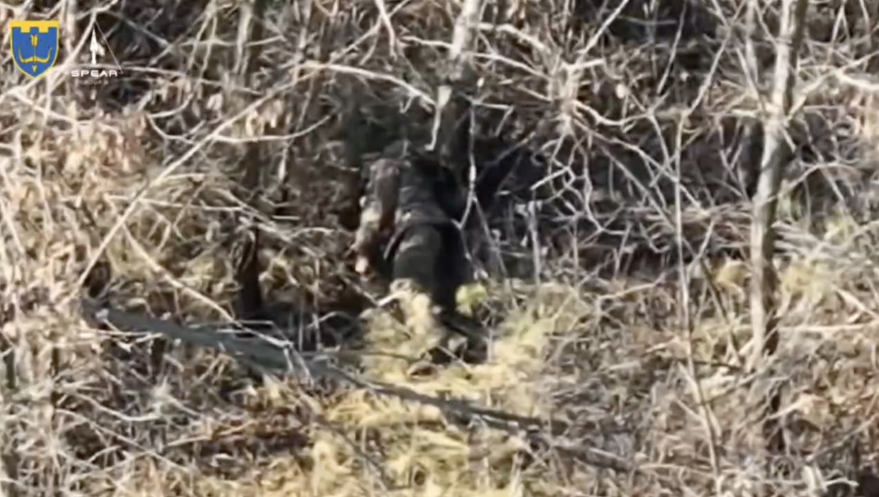 Russian is hiding among trees, FPV drone hits nearby. He pulls his AK and shoots himself