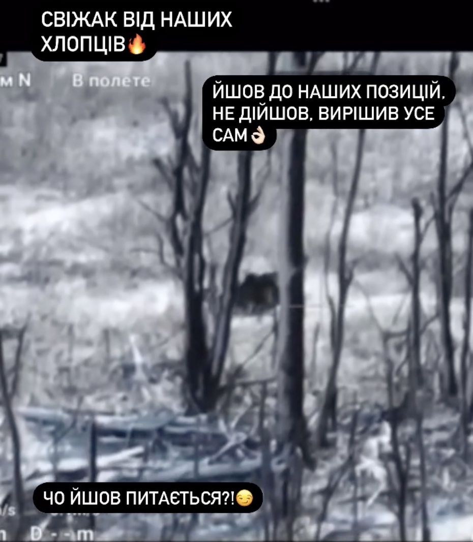 Russian soldier is seen rolling over his grenade while his comrade walks away behind treeline