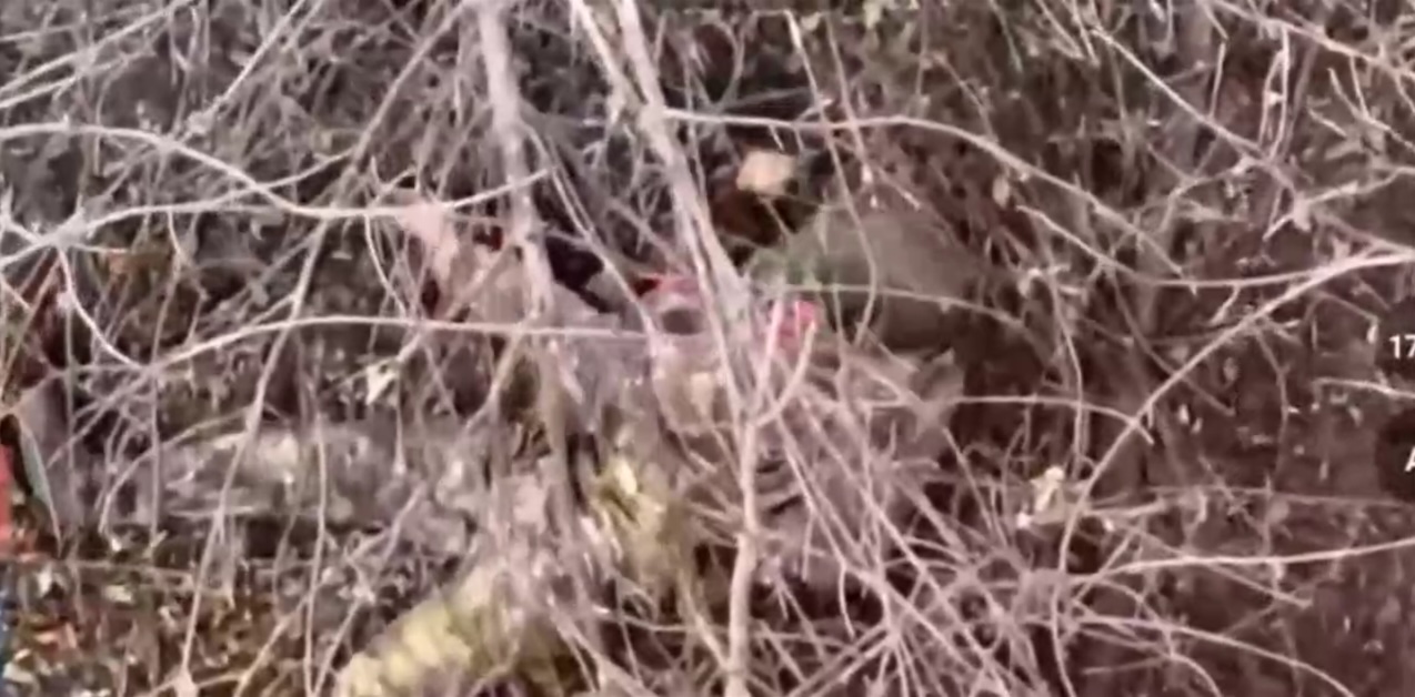 Fully equipped Russian is seen shooting himself with rifle under the tree