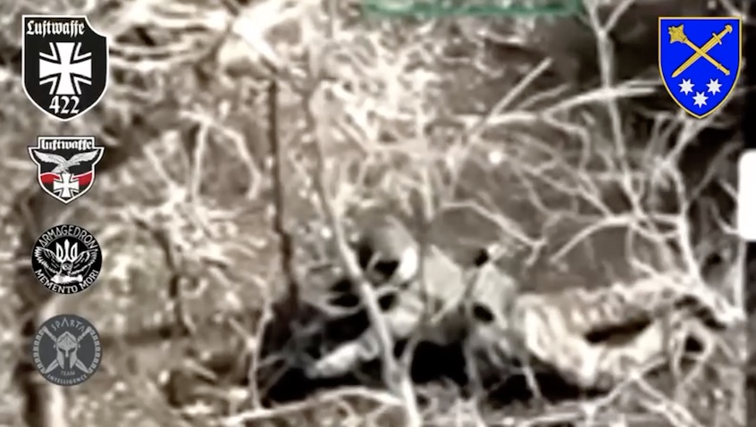 Russian soldier receives close FPV hit while lying on his belly in a treeline, grabs his AK and shoots himself without changing position