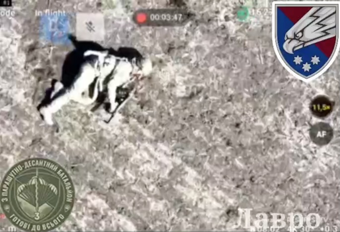 Russian soldier receives close hit in the middle of a field. Injured, he lies on the ground, attempts to shoot himself, apparently unsuccessfully, then tries again but the video is cut till he appears dead with a lot of blood under his head