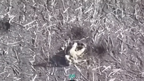 Injured Russian soldier is seen lying on his back in the middle of a field, pulls the pin on his grenade, holds it in his hand on top of his face until it detonates