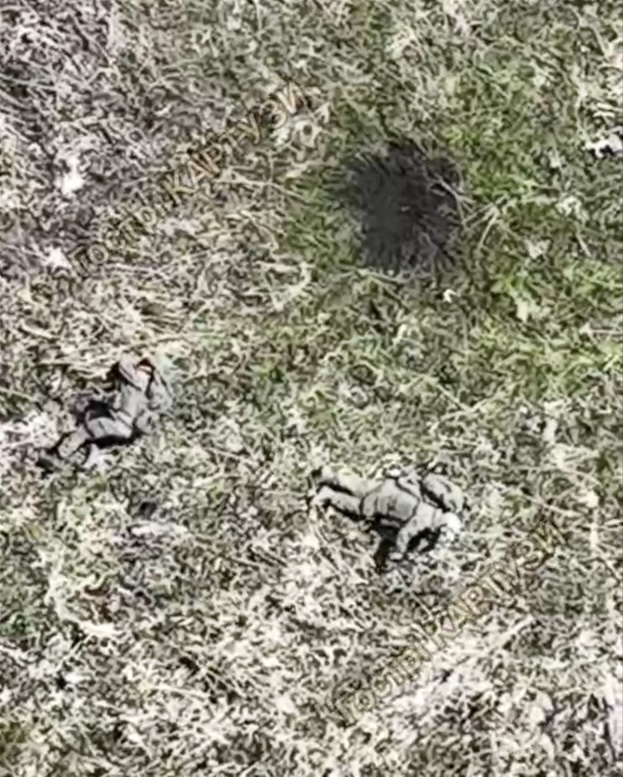 Two Russians get hit by drone drop while walking in open field, both down on the ground. One decides to shoot himself almost immediately while his comrade chooses to fight back with little success