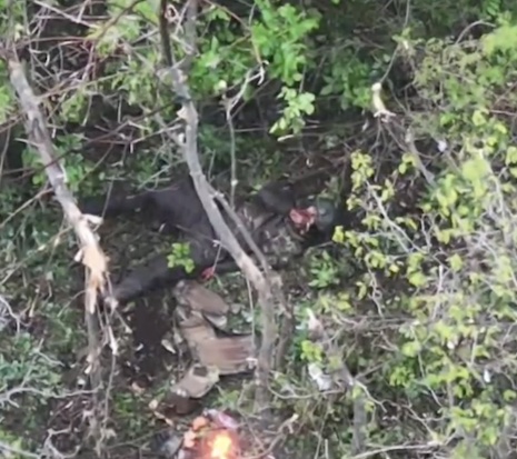 Two Russians enter tree line, both get hit by FPVs one after the other. Lying on his back and covered with blood, one of them pulls the pin on his grenade and detonates it on his chest