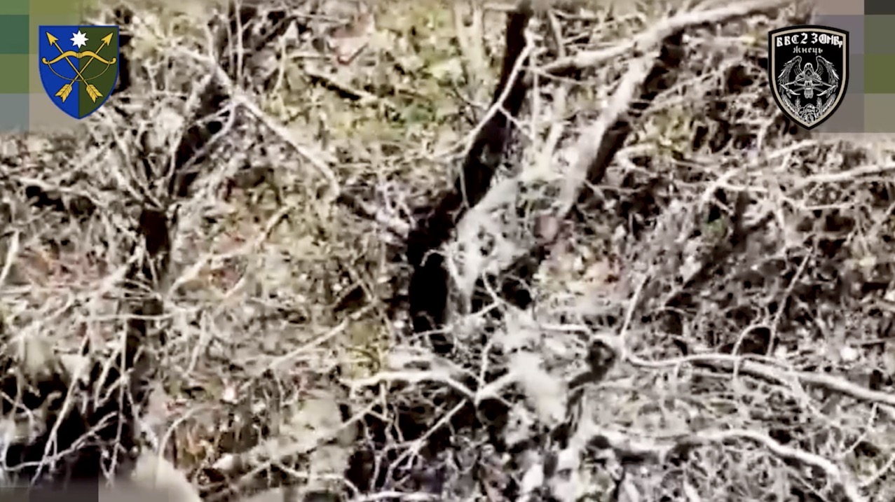 Russian soldier in a tree line is under drone drop attack, is seen shooting himself while lying on his side