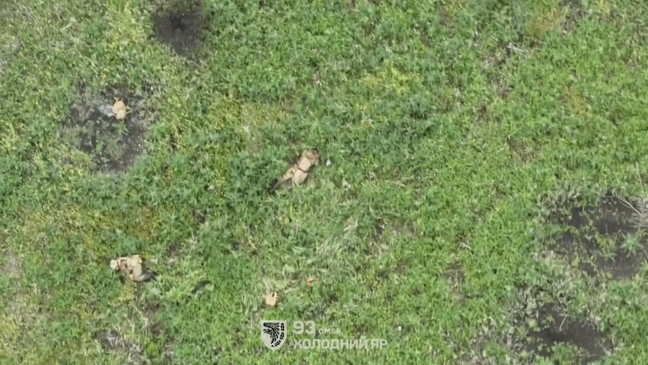 Two Russian soldiers under drone drop attack in the open field seen from above. While one is trying to dodge hits, his comrade appears to detonate his own grenade lying on it face down