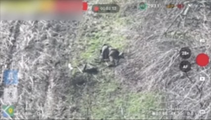 Another quick cut of Russian soldier filmed from afar lying on his side next to treeline and shooting himself
