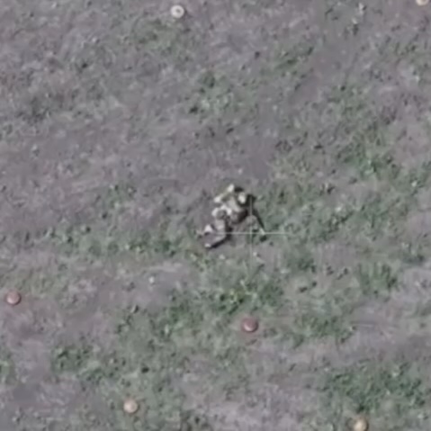 Fully equipped Russian soldier is seen lying on his side in the middle of open field with tank mines scattered around him. He shoots himself moment after drone shadow crosses the scene