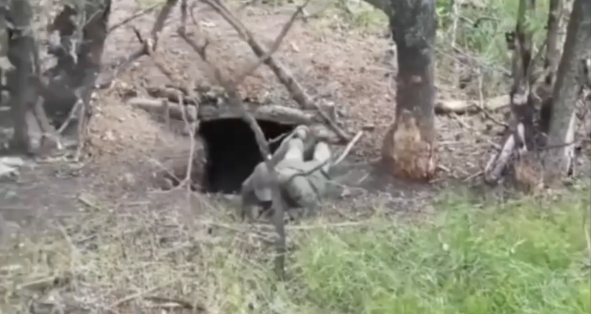 Russian in a foxhole is under FPV attack, later is seen outside on his knees — apparently unharmed — pulling the pin on his grenade and detonating it under his belly in quite powerful explosion that kicks him in the air