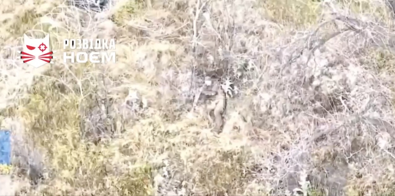 Russian lies on the ground beside barbed wire and a tree, points AK at his face and shoots himself