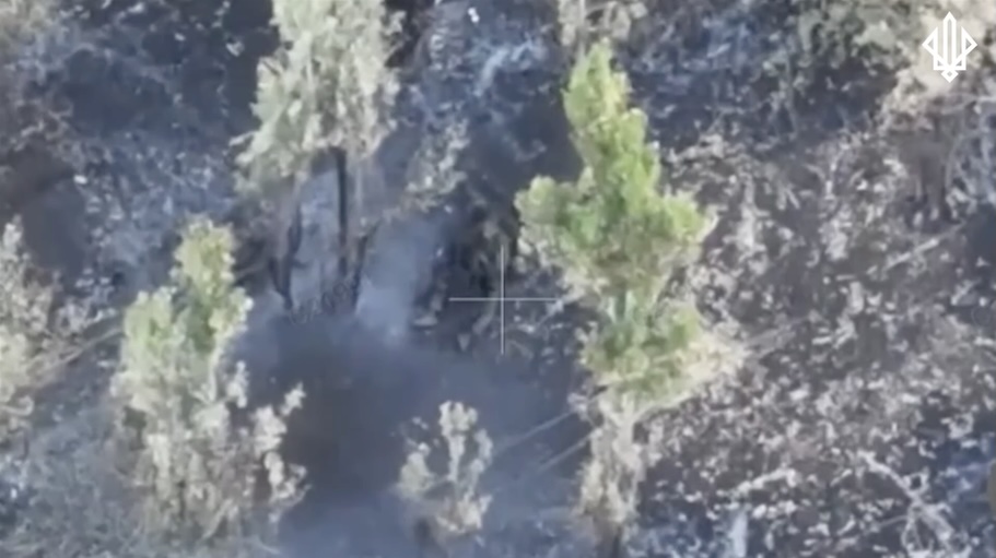 Low quality video of Russian soldier sitting among trees and shooting himself, presumably soon after FPV attack