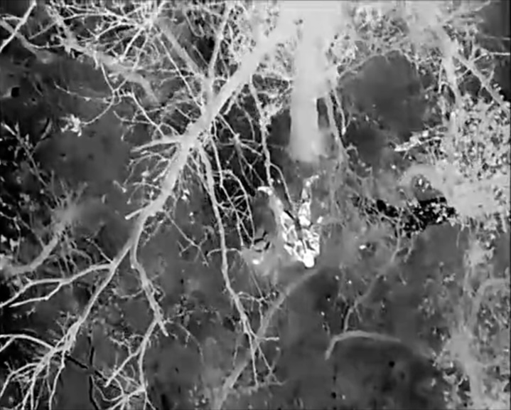 Thermal footage of Russian soldier lying on his back under big tree and shooting himself with AK pointed under his chin. It keeps shooting on full auto after he's apparently dead