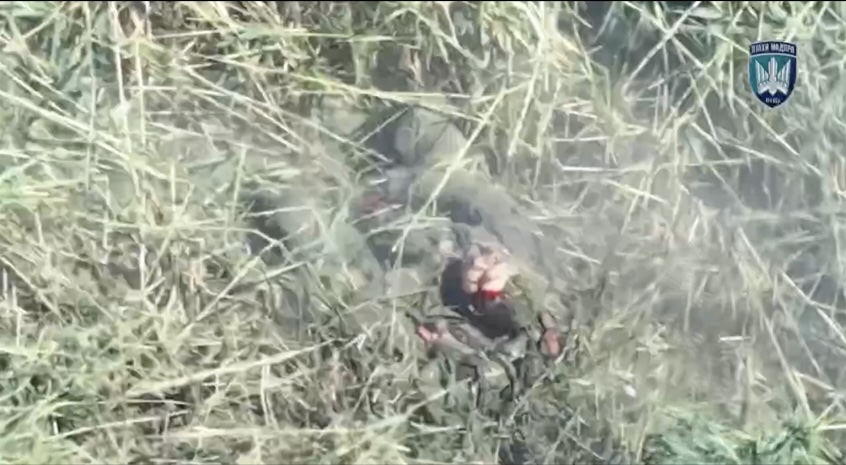 Russian moves across high grass near treeline, attacked by FPV. Later is seen shooting himself, with camera zooming in on different angles of the aftermath