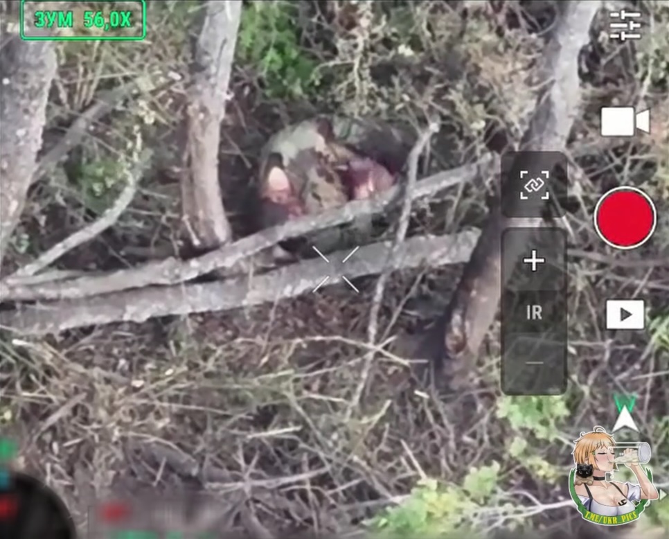 Russian soldier lies wounded under the tree holding small knife, hits himself in the throat with multiple strokes, somehow still not dead