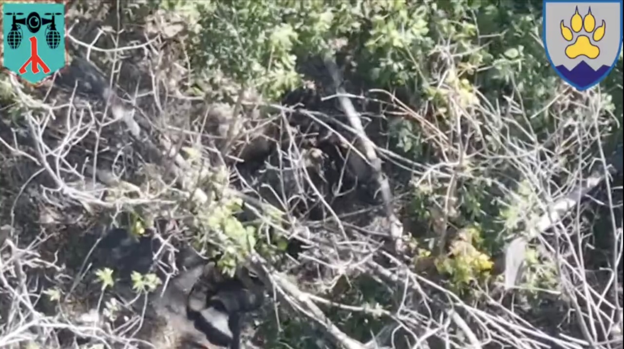 Russian is seen through dense foliage lying on the ground, apparently injured, and cutting his throat with knife. Later on camera zooms in, he still looks alive staring in the void