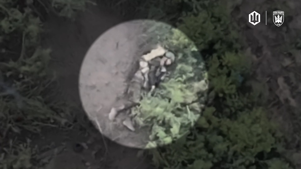 Quick video cut featuring fully equipped Russian soldier lying on his side besides the bushes and shooting himself with AK