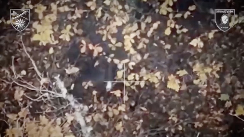 Russian hides under dense foliage, receives multiple drone drops, eventually is seen shooting himself
