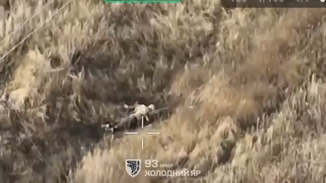 Very quick cut of Russian soldier lying in high grass and shooting himself in the head