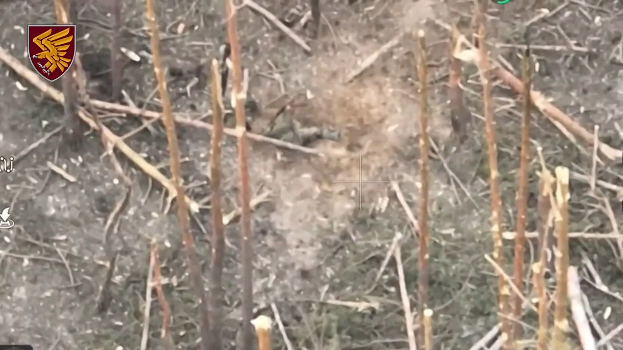 Russian soldier shoots himself after being targeted by drone drop grenade