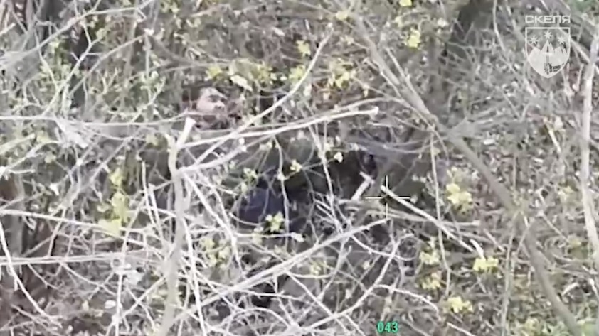 Russian in a tree line receives FPV hit, and briefly appears to be on fire, although the view is heavily obstructed by tree branches. Later is seen shooting himself in the forehead