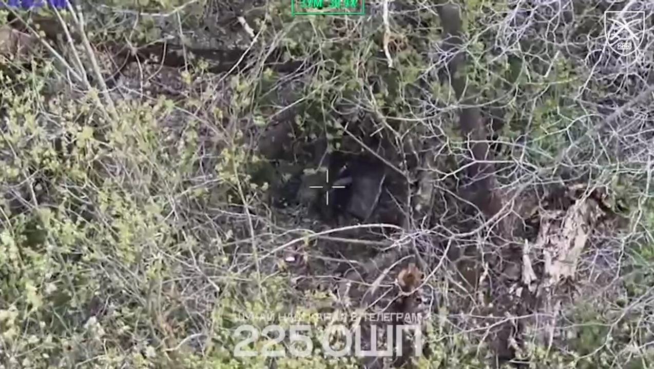Russian is chased by FPV in a tree line among blossoming trees, later is seen standing on his knees, with a cigarette, and shooting himself