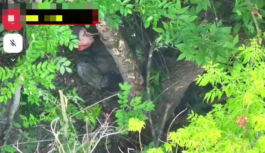 Russian with no helmet shoots himself, seen from above through a gap in a dense foliage. He doesn't seem to be dead moving back and forth slowly, although there's blood on his head