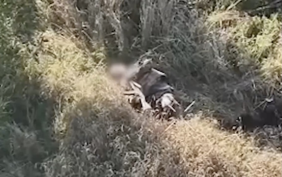 Russian is under drone drop attack in a tree line, later is seen lying on his back in the open field with AK pointed towards his face. He makes what looks like test shot, then shoots himself