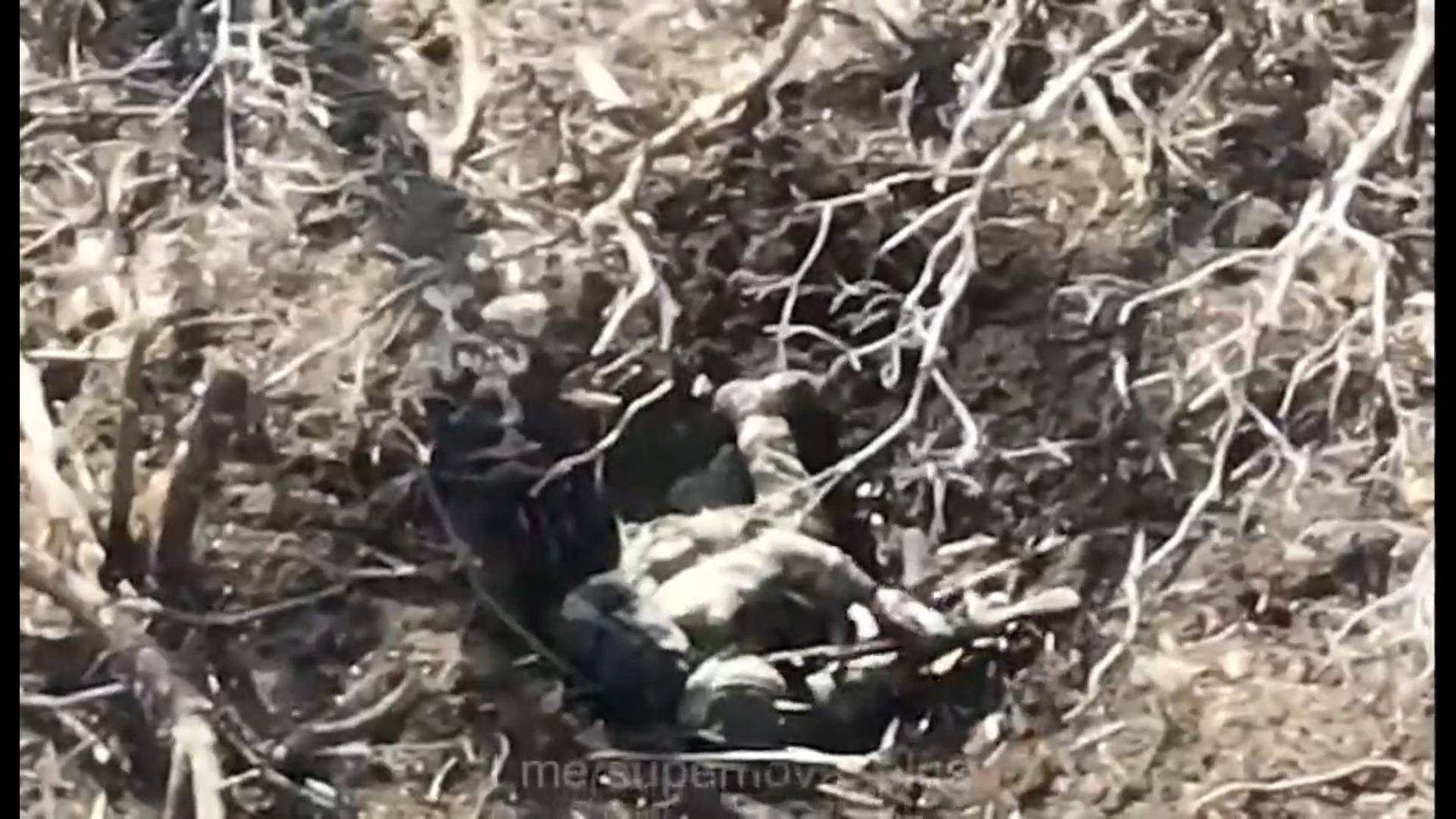 Russian soldier tries to shoot himself in head, likely wounds himself