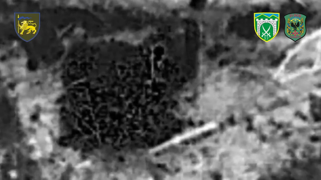 Russian soldier is struck by drone dropped grenade, apparently shoots himself almost immediately. Thermal view