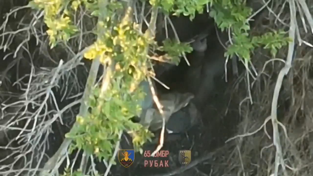 Russian infantryman shoots himself in the bushes