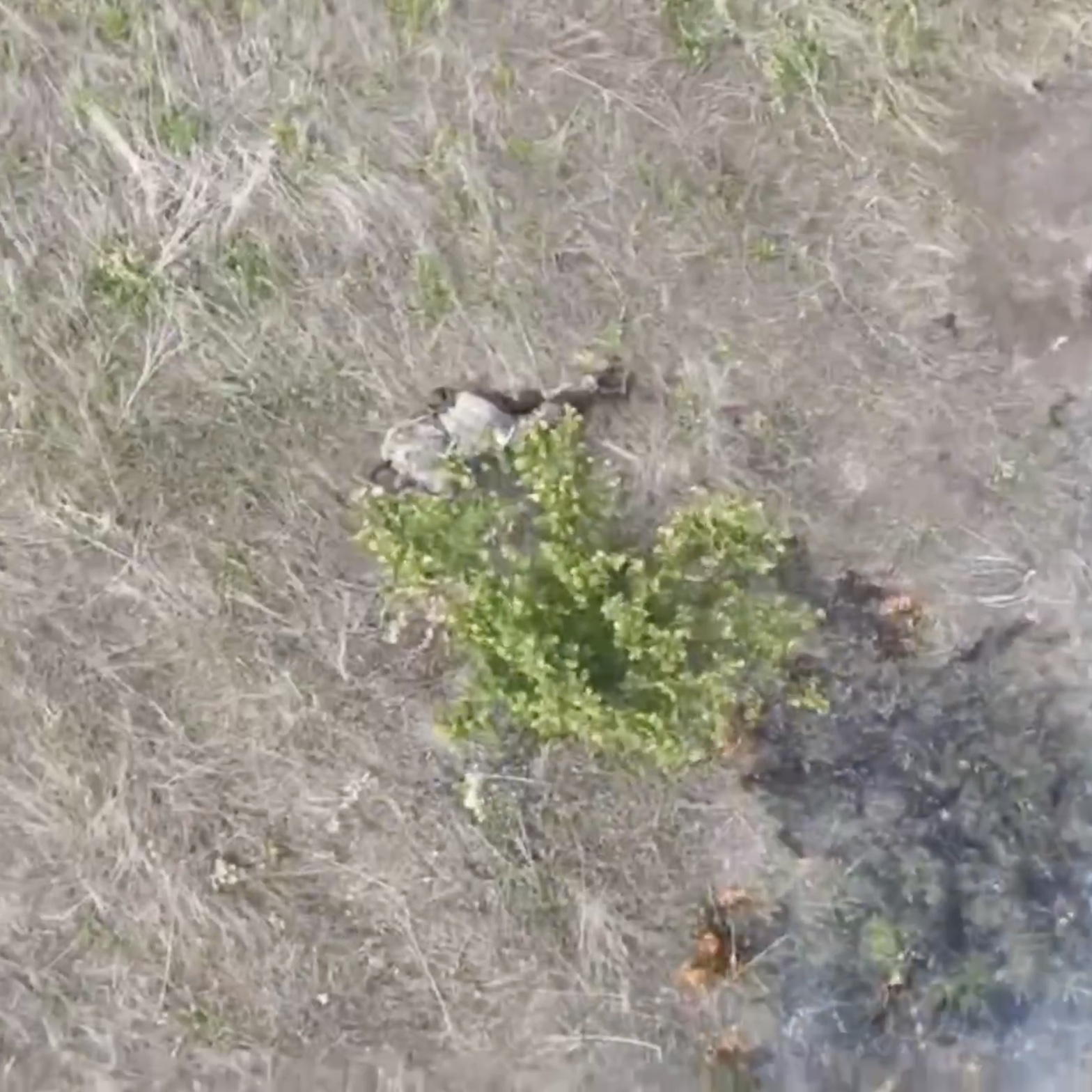 Russian soldier appears desperate with no equipment whatsoever, blows himself up in a graphic explosion