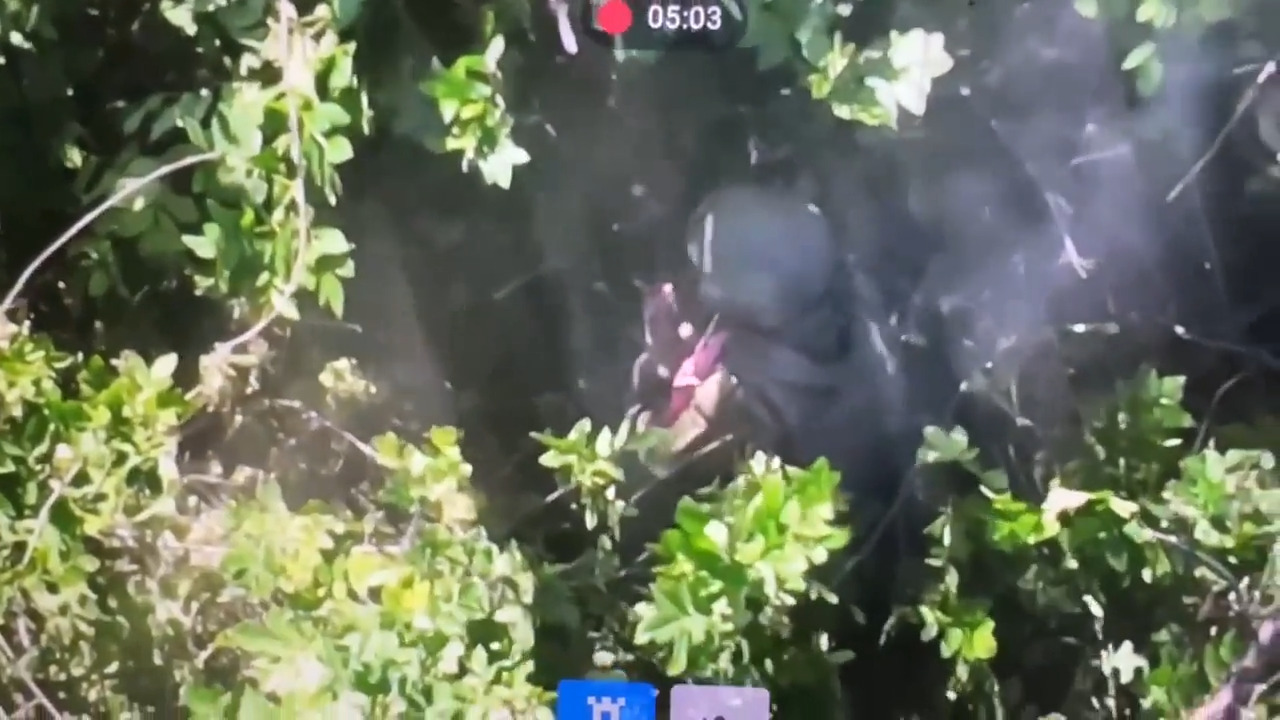 Wounded Russian soldier in dense bushes with cloud of smoke hanging around shoots himself in the head